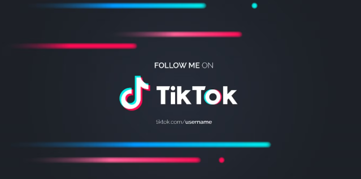 TikTok 계정 1 복구