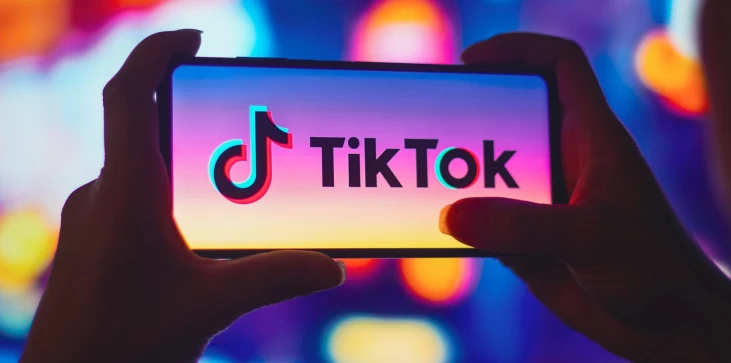 TikTok 전화 로고